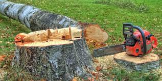 Best Tree Removal  in Lake Como, NJ