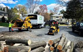 Best Lot and Land Clearing  in Lake Como, NJ