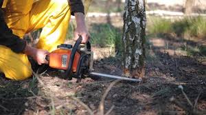 Best Hazardous Tree Removal  in Lake Como, NJ