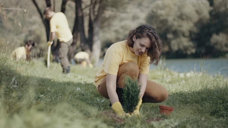 Best Lawn Disease Treatment  in Lake Como, NJ